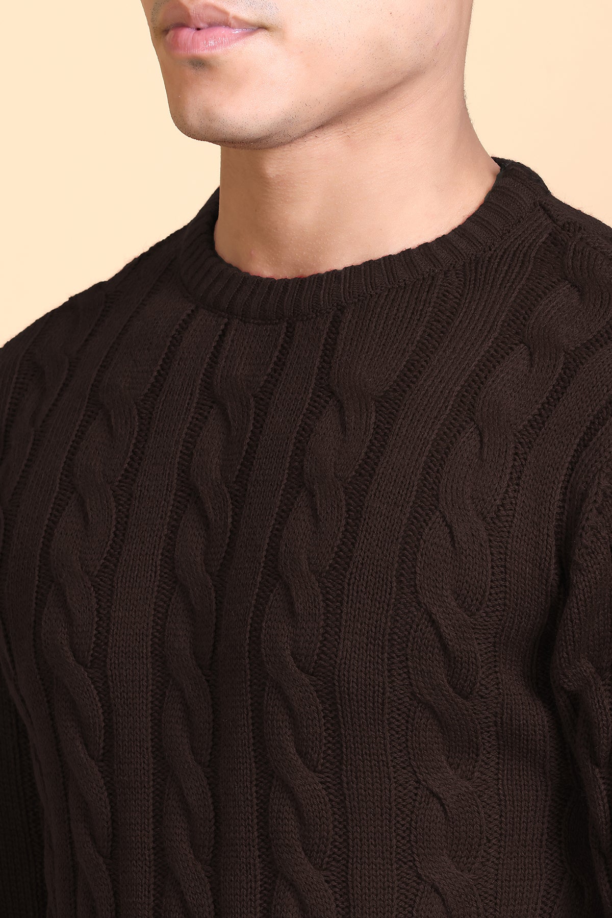 Men Self Design Round Neck Coffee Sweater