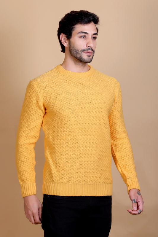 Men Yellow Round Neck Sweater