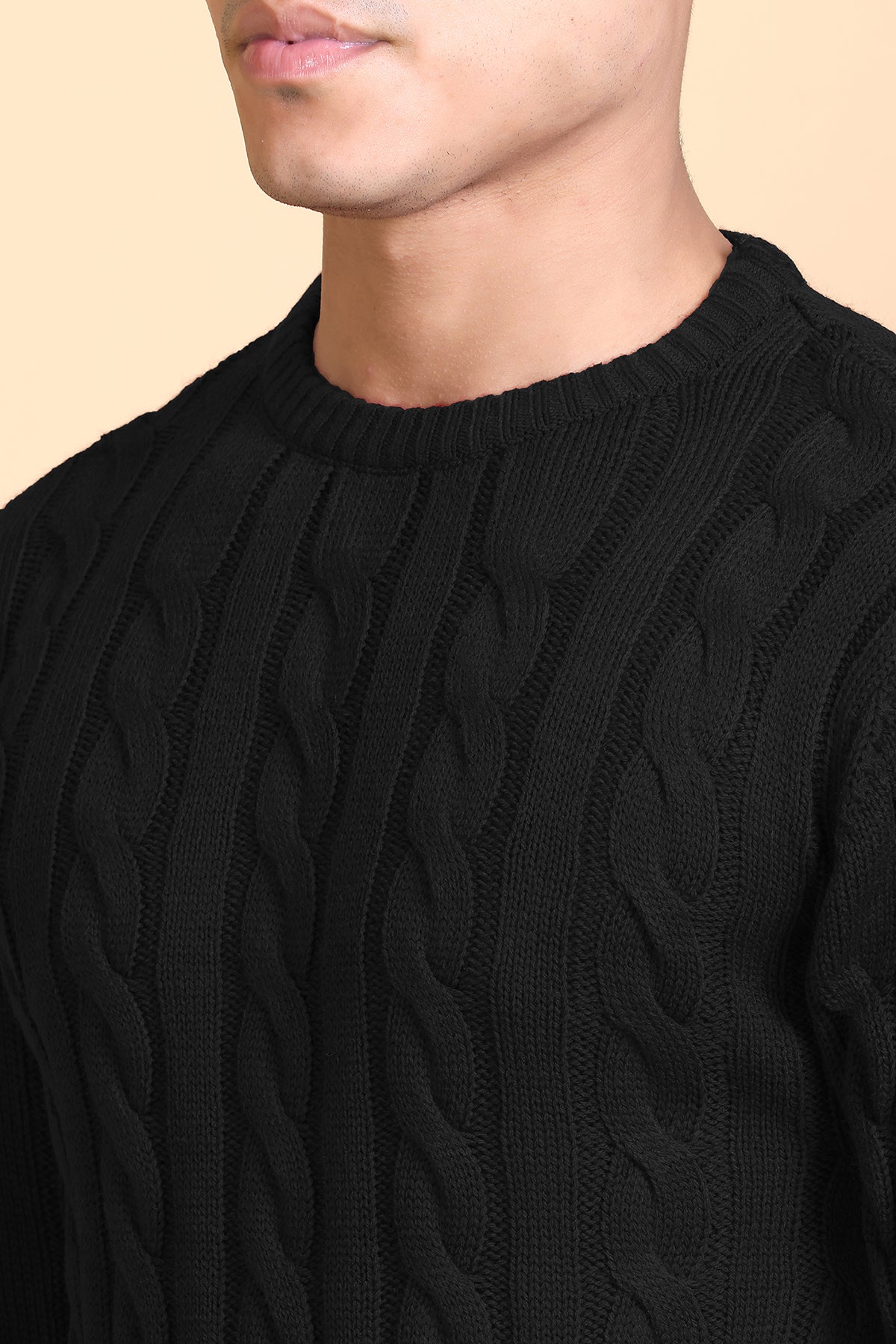 Men Self Design Round Neck Black Sweater