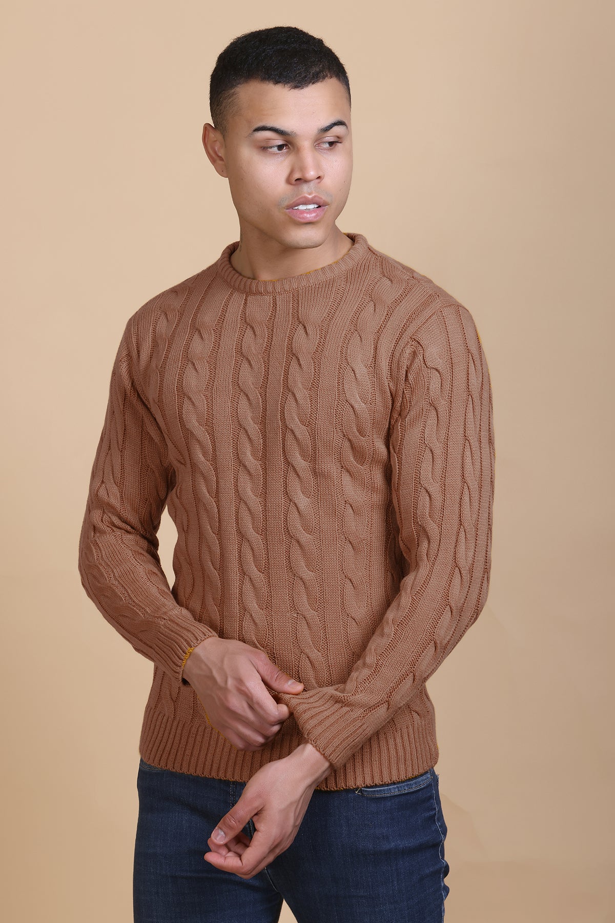 Men Self Design Round Neck Brown Sweater