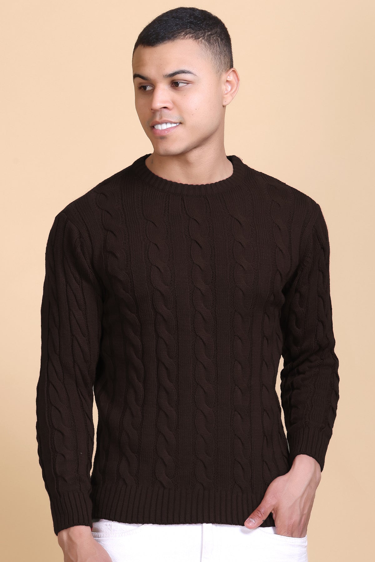 Men Self Design Round Neck Coffee Sweater