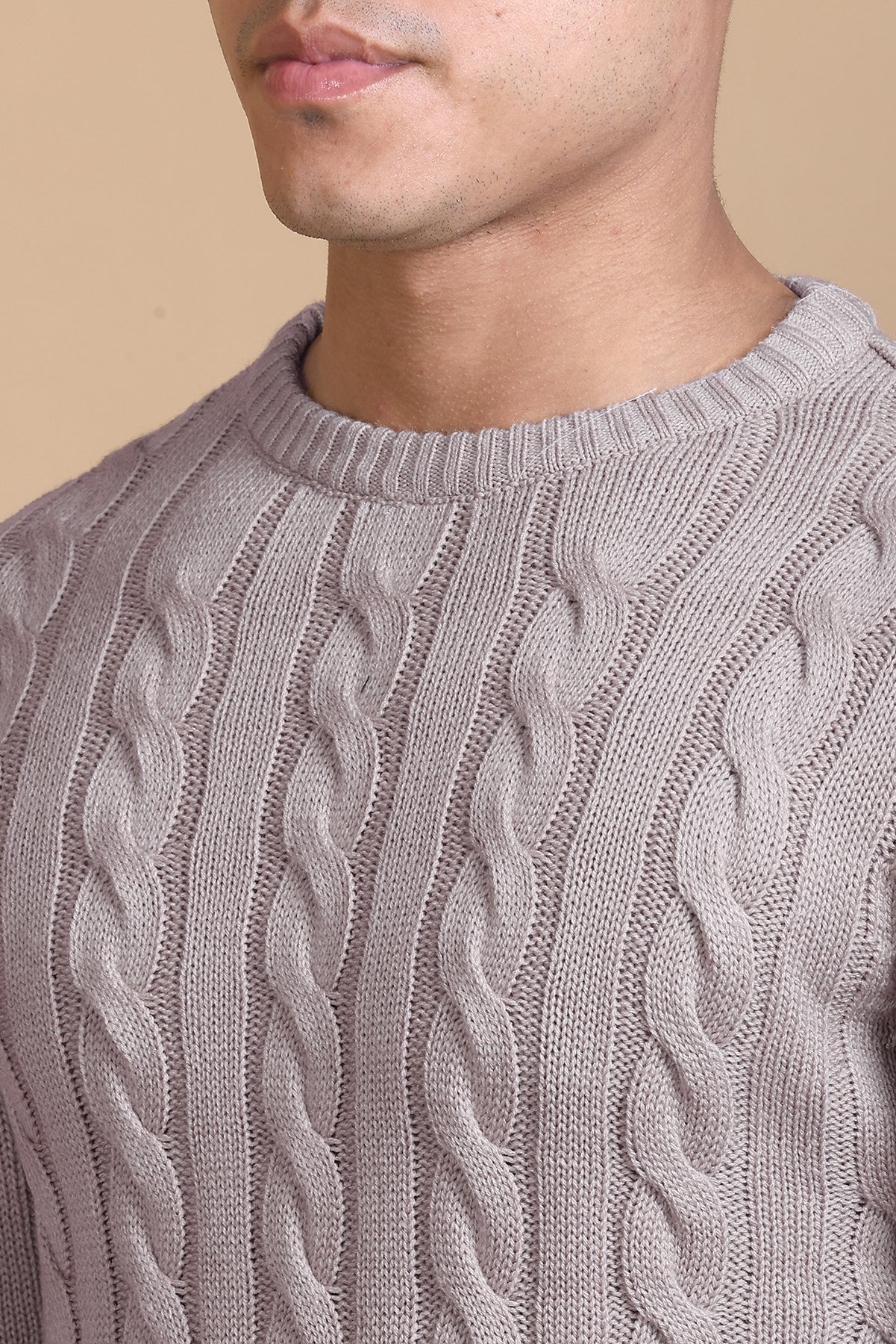 Men Self Design Round Neck Lavender Sweater