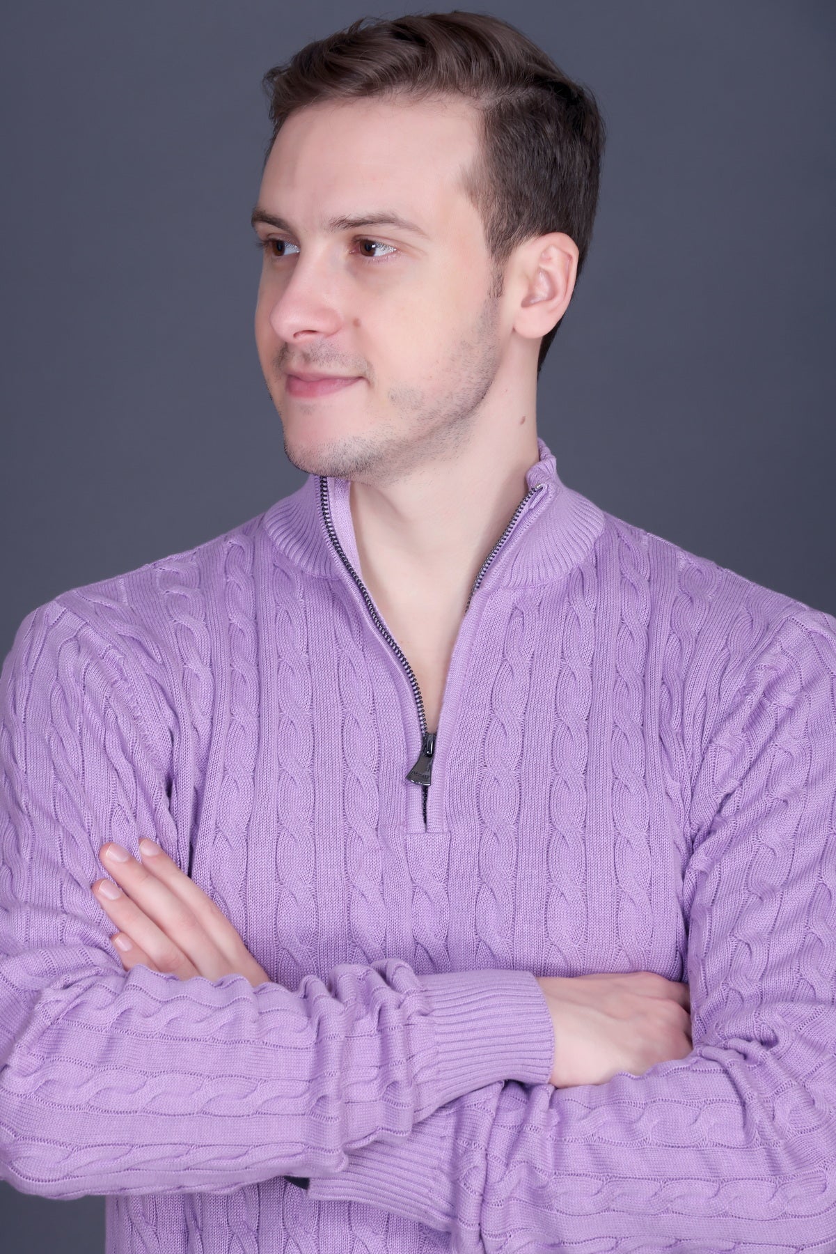 Men Solid Collared Neck Lavender Sweater