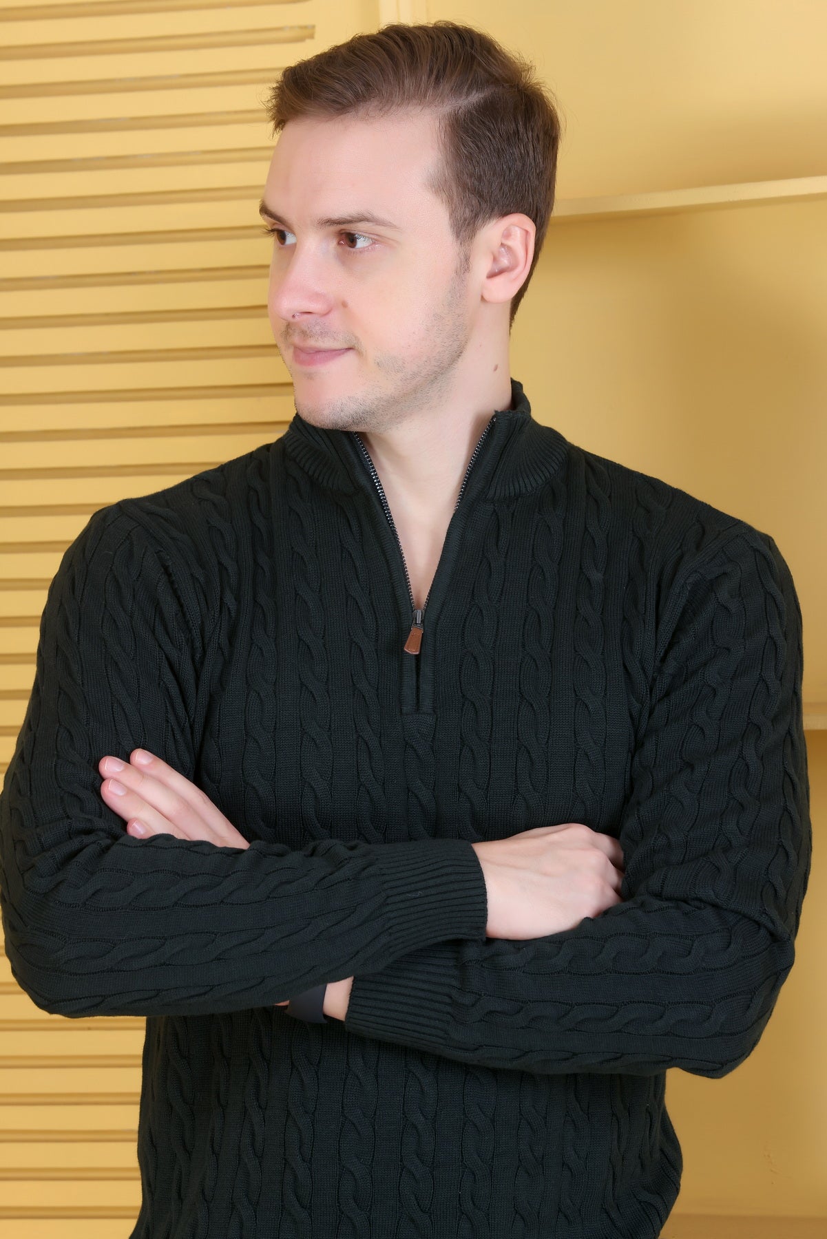 Men Solid Collared Neck Olive Sweater